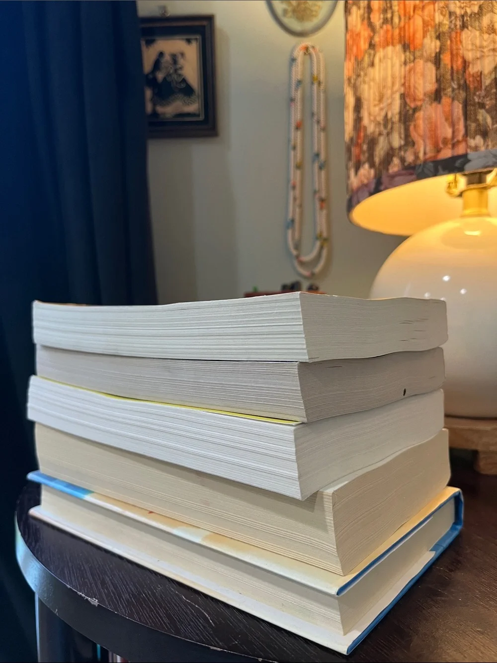 5 book Summer Novel Collection